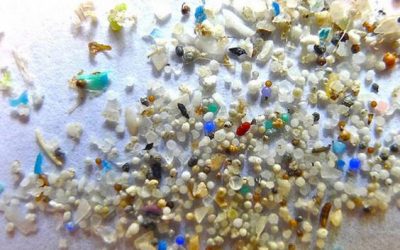 Deceit and theft in micro-plastic research?